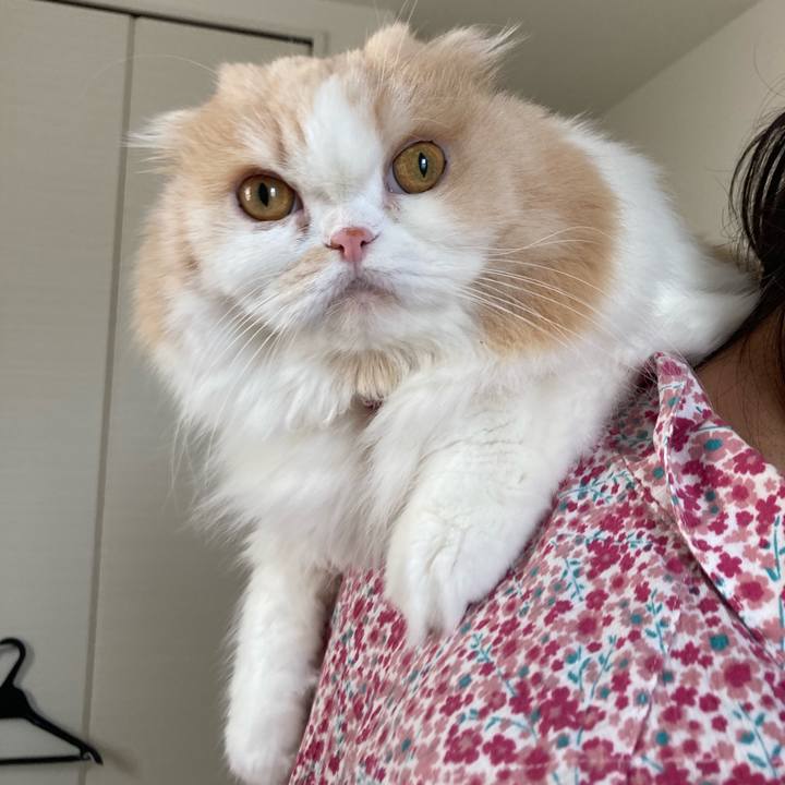 61f3df83 831c 4752 8627 8106661d9882 1626613623831