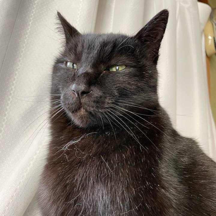 61f3efcf 507f 45d2 a8aa 1d079151677d 1646274887157