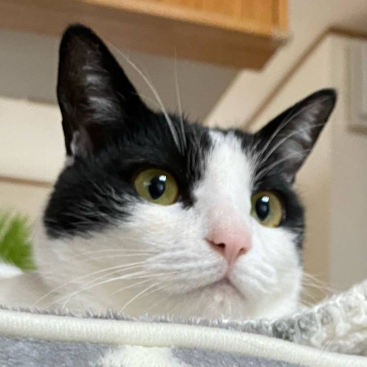 61f41efc ada6 473c 9ba3 3b5e4e15b2a0 1605928202697