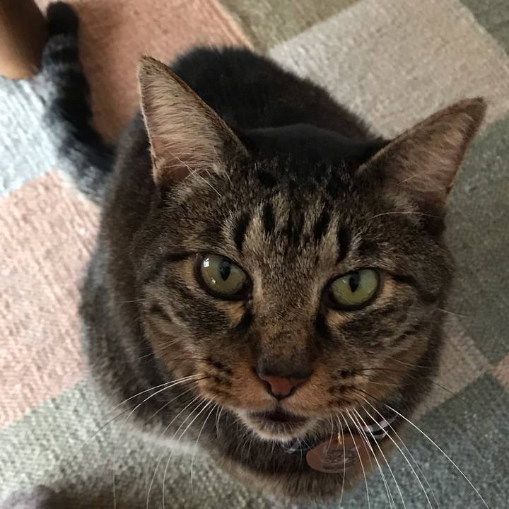 61f43292 0cf2 4c3d a985 156529dd7785 1587681275477