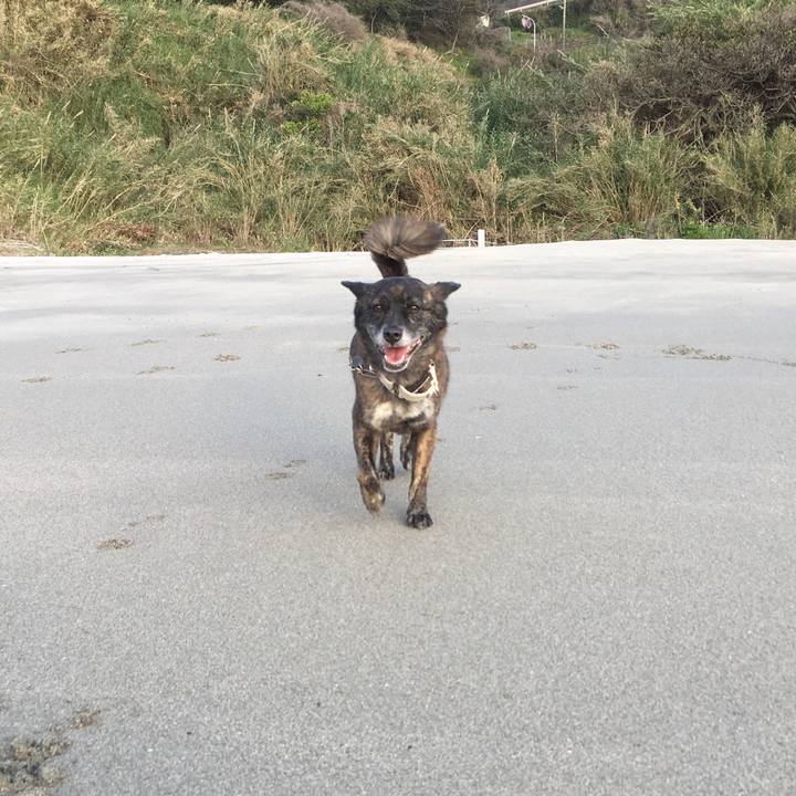 61f4638c 6a5b 4f67 81fc 2be85139fc07 1554849432015