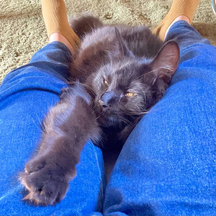 61f48a6a 4a3e 4c88 b730 4a981c9fd794 1728812493778