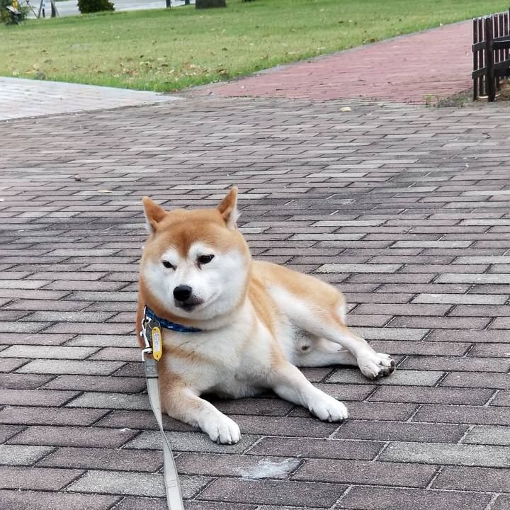 61f5074b 2ad9 4948 a5c5 cdaa3c09f1ce 1538985601454