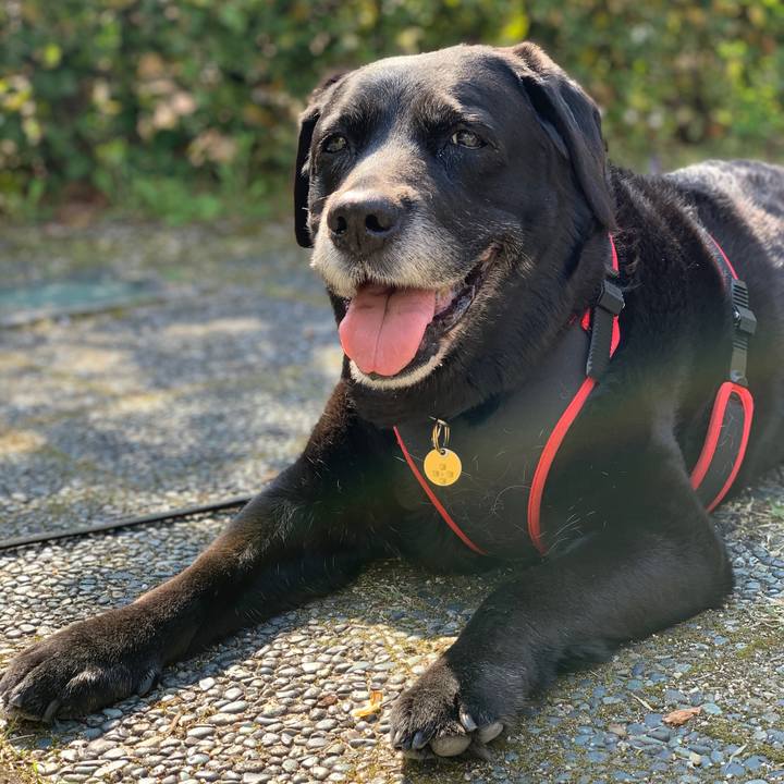 61f54438 f568 48e0 b689 6b13fd5ba14e 1587000864559