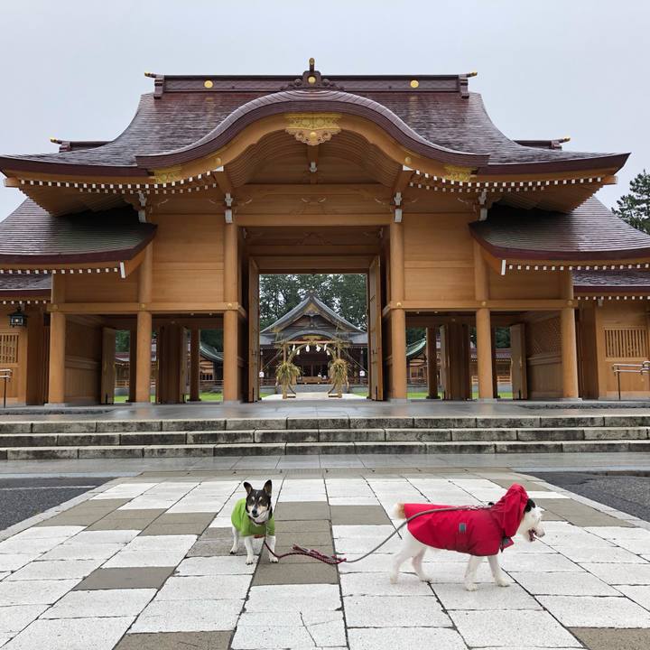 61f55a8b 0475 4554 b503 f42773a7125a 1561685765303