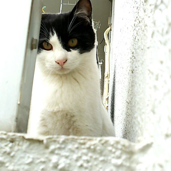 61f590ee 1147 4a10 a3f3 9528e57a4a01 1551837650091