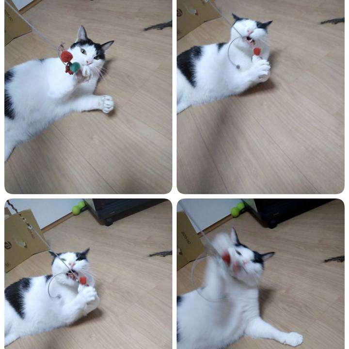 61f5b7c8 e94d 454f 9660 906299f7227c 1548155718816