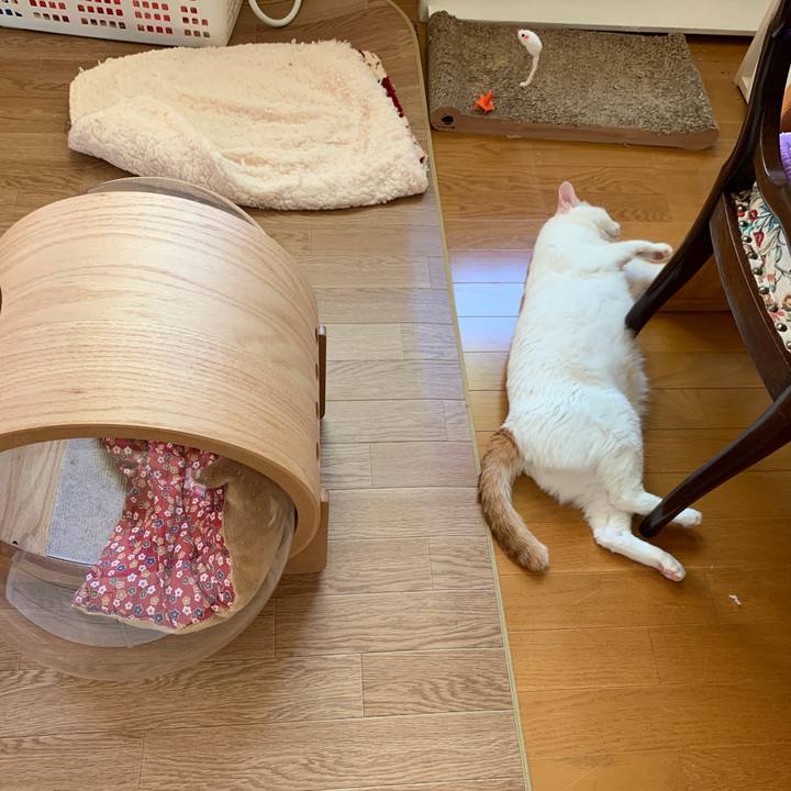 61f5b9d8 229f 4888 8878 d1d018f55866 1665877169780