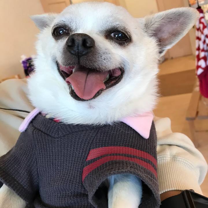 61f5f43c 23e3 4654 ba1b 04fe06c19604 1603801192419