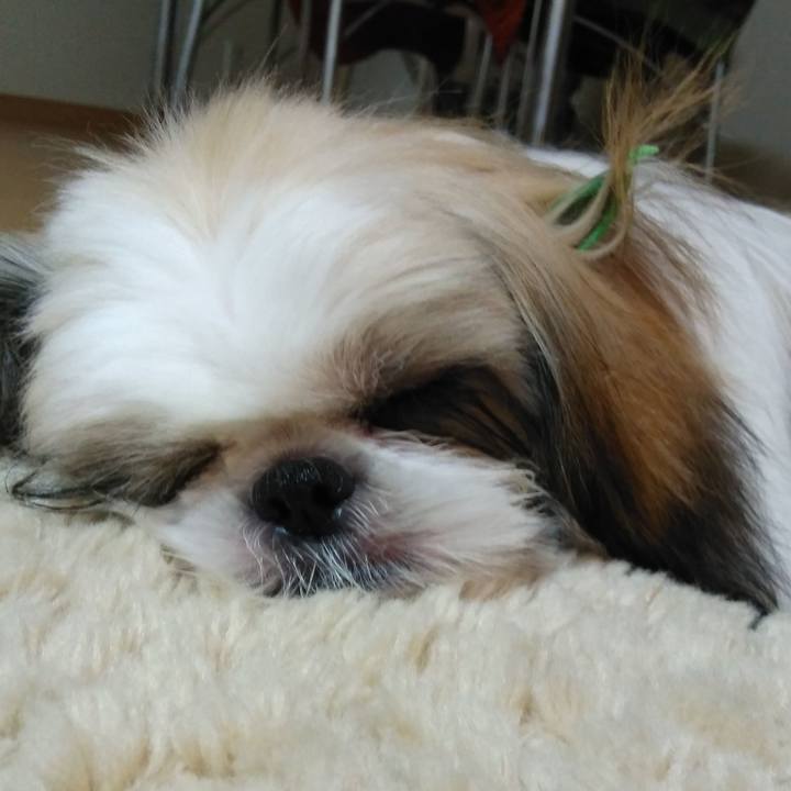 61f645a1 84da 4a31 985b d5c6c00f757b 1539430289277