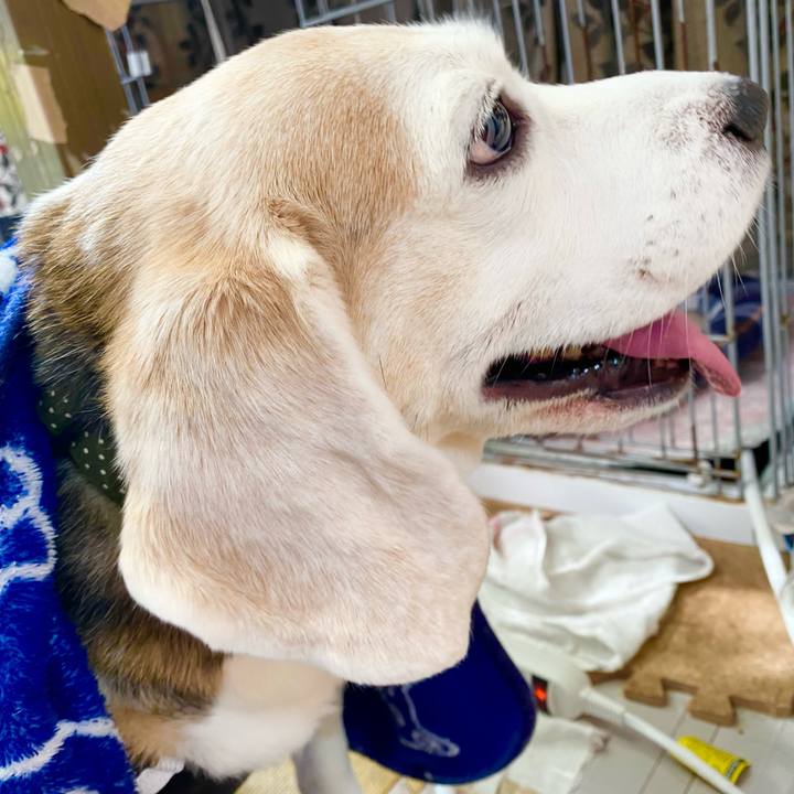 61f661d6 1dad 481f a8dd d68ef130e2fd 1646365872777