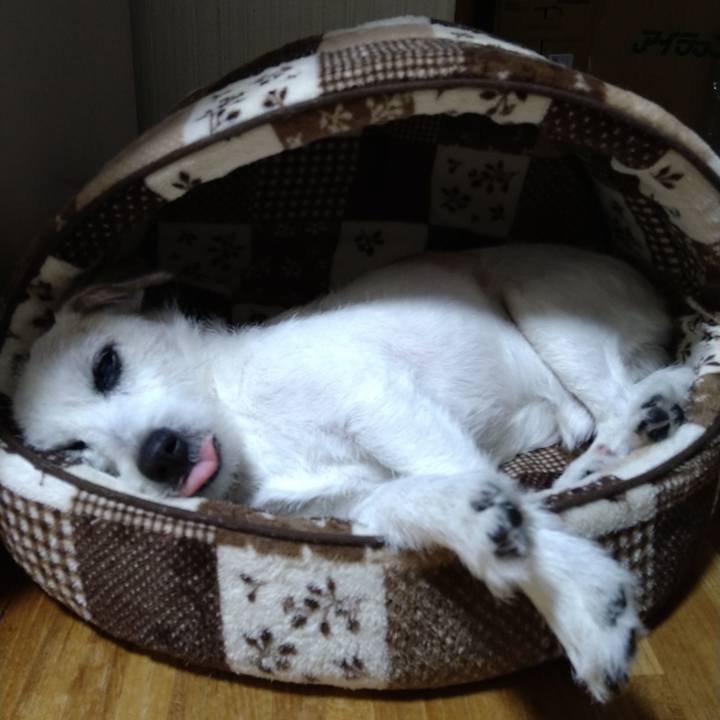 61f6624c 001e 4391 b11e bd514870689d 1730023944184