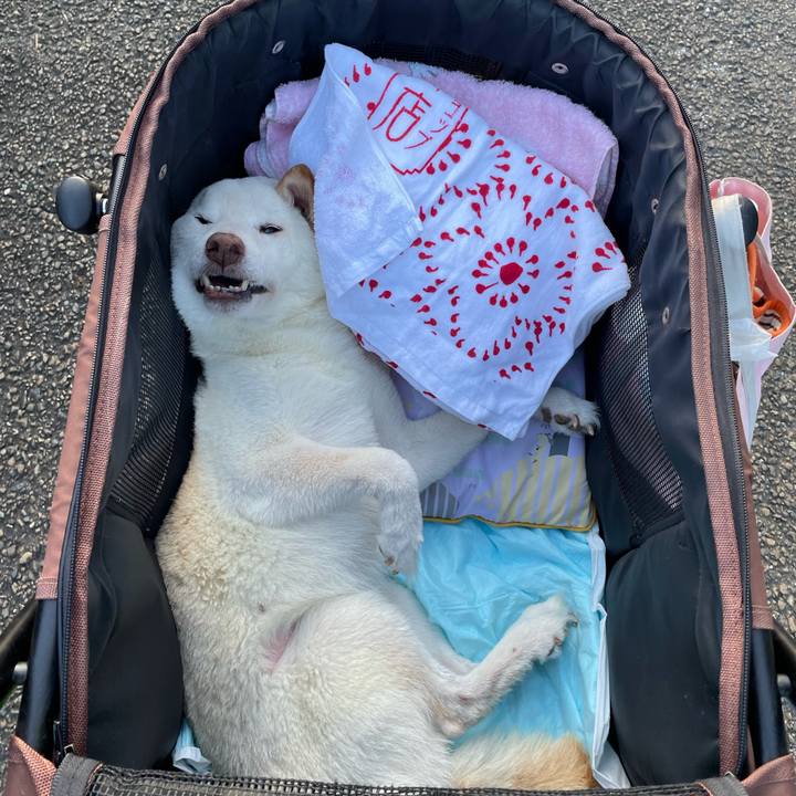 61f66594 19e0 4aff 915f 78da28688015 1666180597132