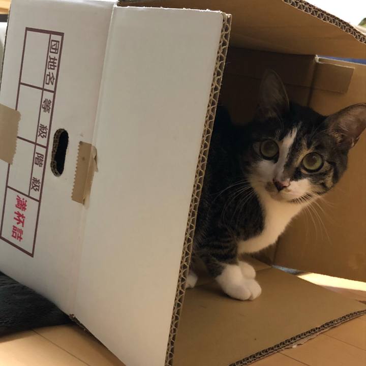 61f68d7b 08c5 4029 afcb 93f7a3d1dac0 1521550008935