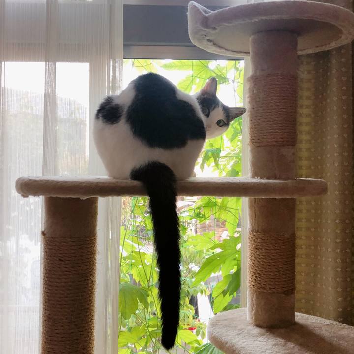 61f6a2bd 5306 4c38 bace 09b7aed5c0ed 1688593860752