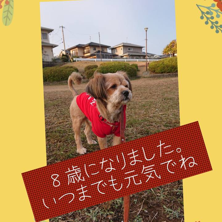 61f6aee3 64ed 4544 af3a a8c1530d68ce 1576887107332