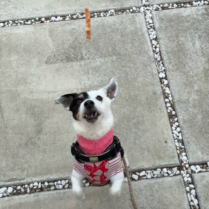 61f6cbaa c024 444c bf38 b56d30e54a81 1773792959830