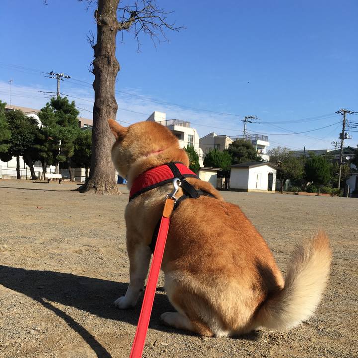 61f6d659 f5b5 49ef 8cd2 17c0fcc6fe9a 1602029017121