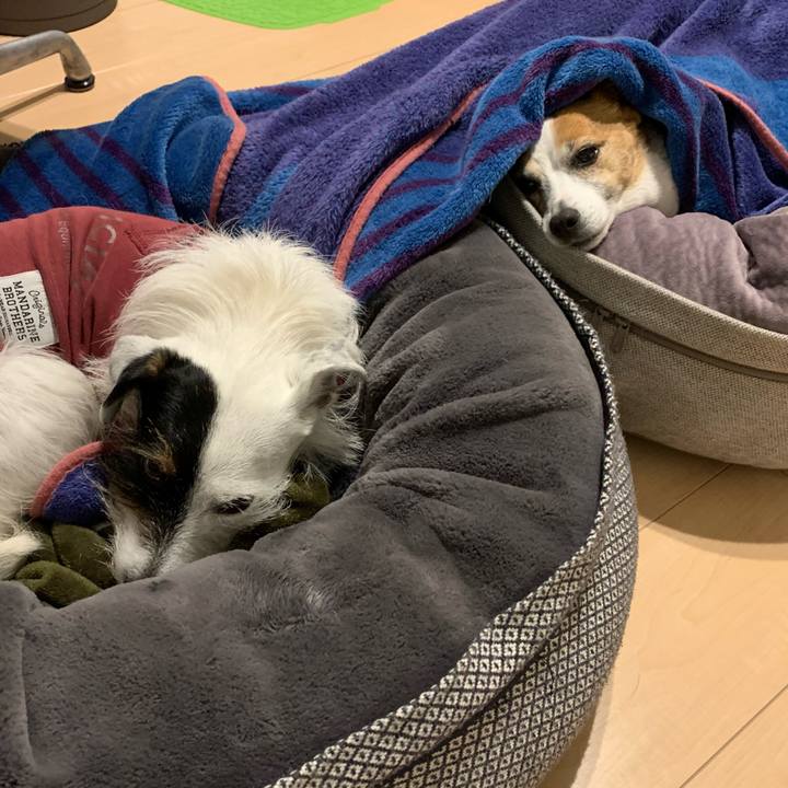 61f6ea17 23e1 4f92 a59c 699bdbe4359f 1641905592976