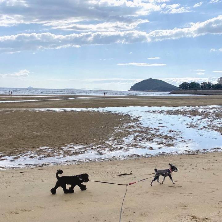 61f6eb77 b886 41d5 9269 0a6ede35db5e 1593605947871