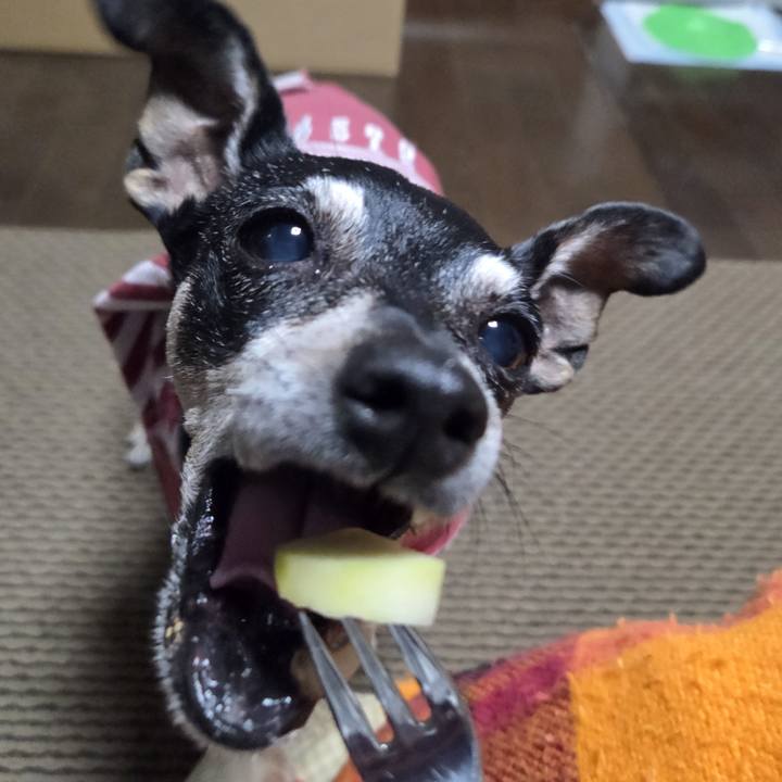 61f71456 baff 4e87 9deb f3b01ab7bfa6 1761649874824