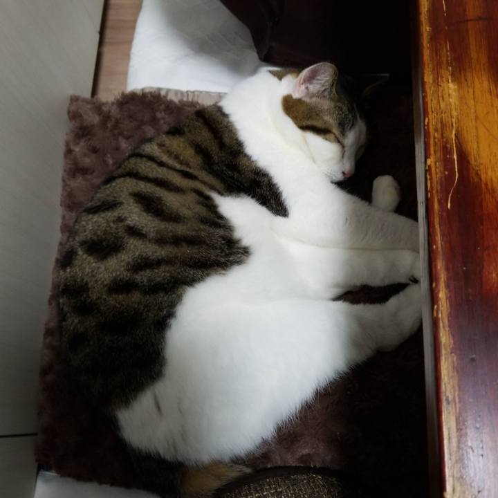 61f72009 5013 4b8d 9b24 483be7ab74e4 1576792147177