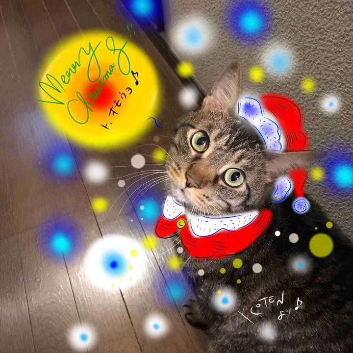 61f73419 1aeb 48f0 92d4 2737e092d3ef 1608572047190