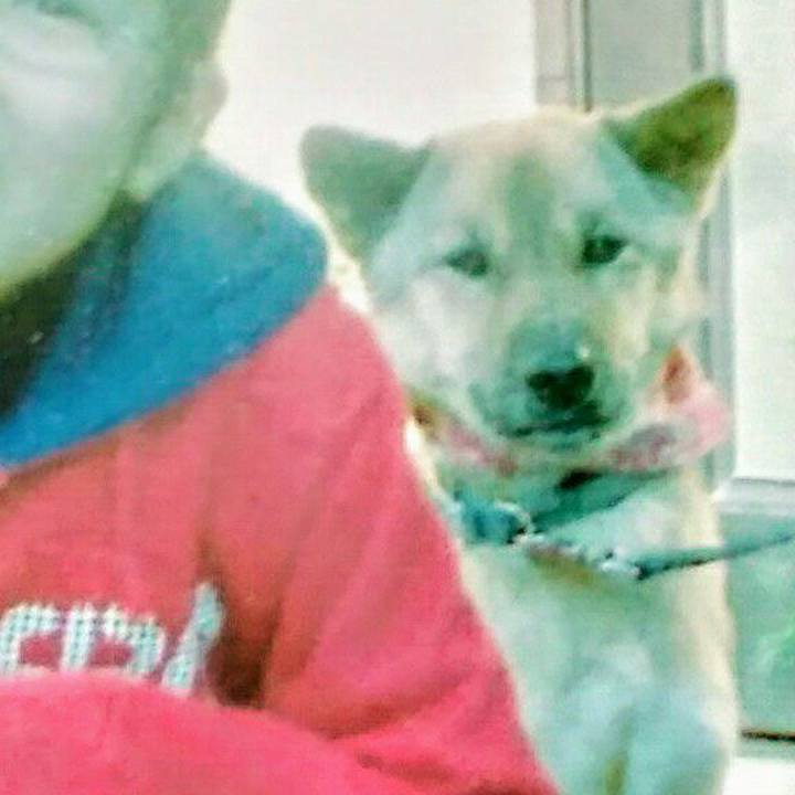 61f74bed ff2a 4ada b62e 015a985ef13c 1558260963140