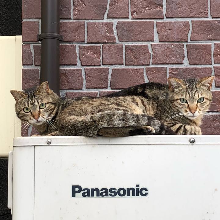 61f77971 0df2 4425 a801 d4a2688cd518 1524067163143