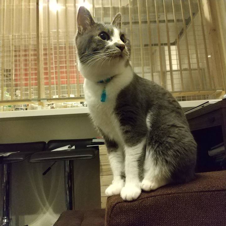 61f77b09 a277 4b5c 9361 e260c96eb0e1 1626354227881