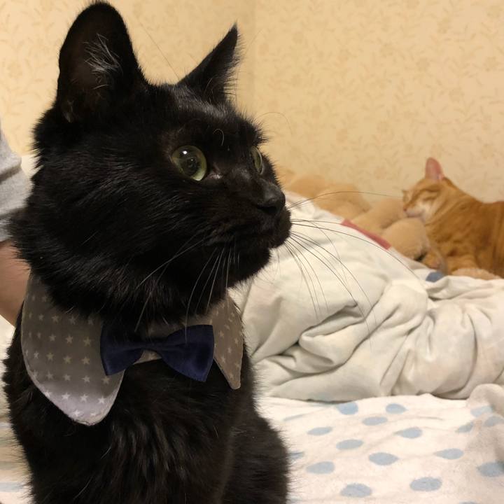 61f77b73 ca81 4d9d bf60 5892b82b751a 1573222189098