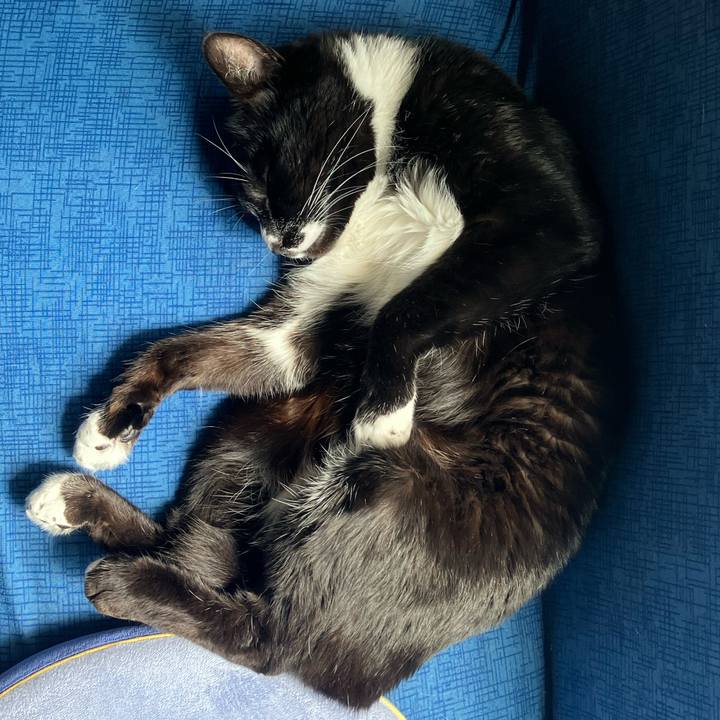 61f78fc2 9d94 469f a246 37fda122cf75 1715051609824