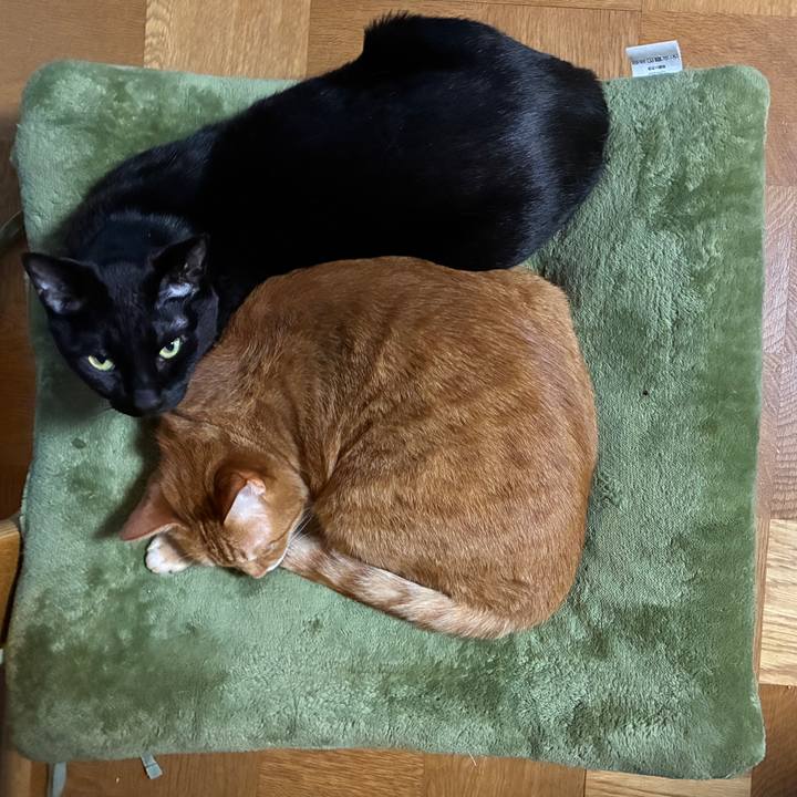 61f79eec 3e94 4006 b181 7b0a11fd458e 1747906029018