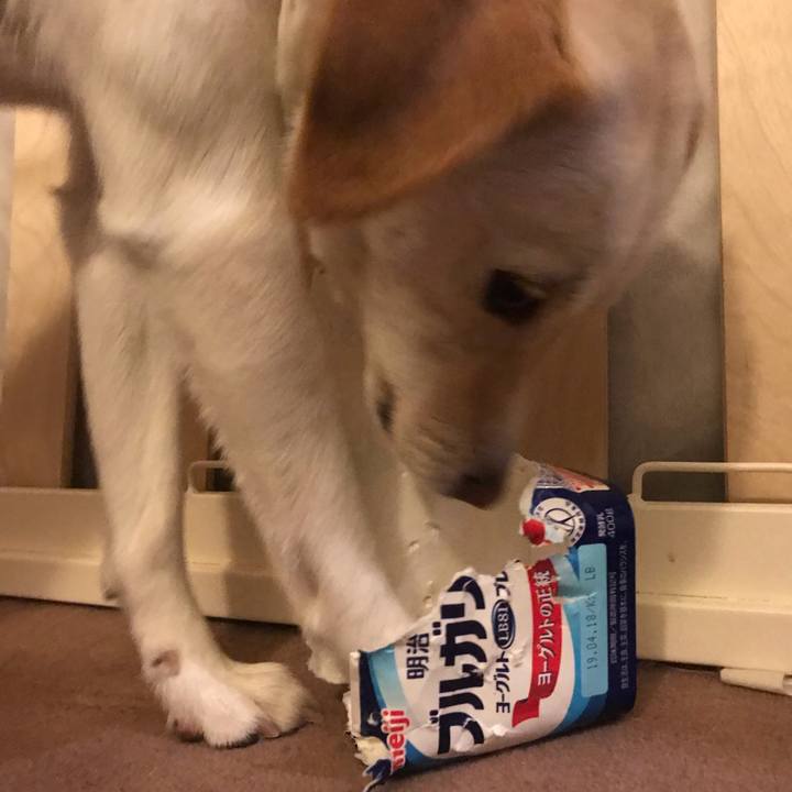 61f7ad4b 8c34 413f b59b f86955a1ccb7 1554989898460