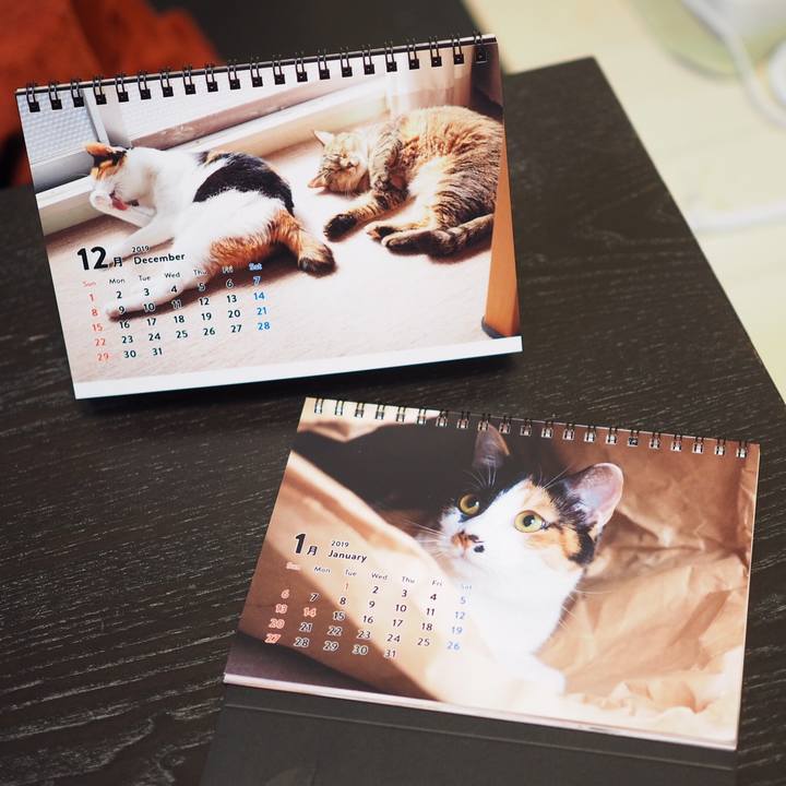 61f7b942 3f4c 4c0c 8d81 e3fb79b31232 1547208302245