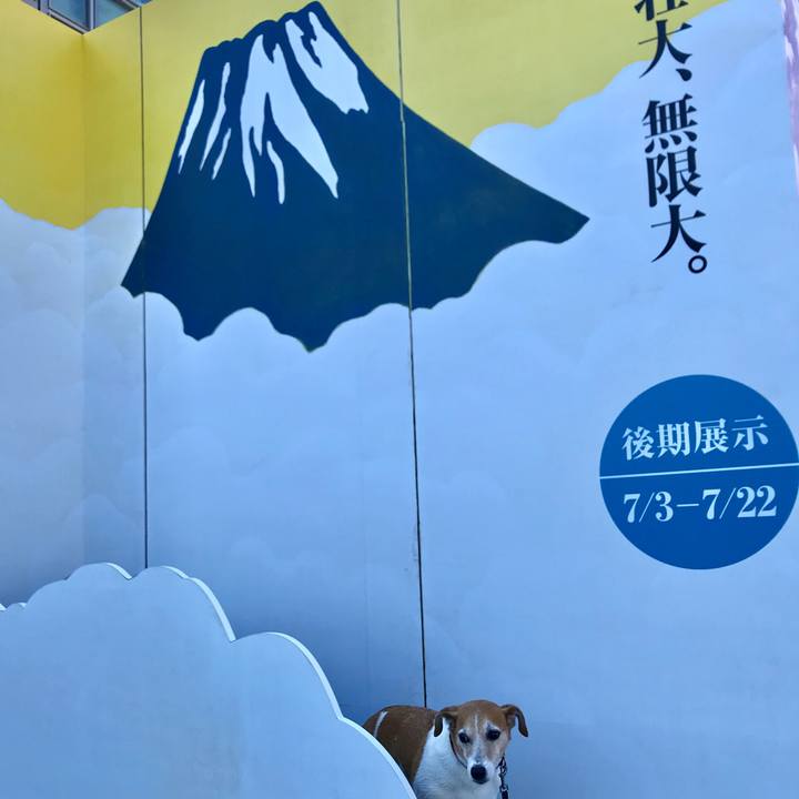 61f80320 57cc 4863 99e1 24042c5f503c 1529130890177