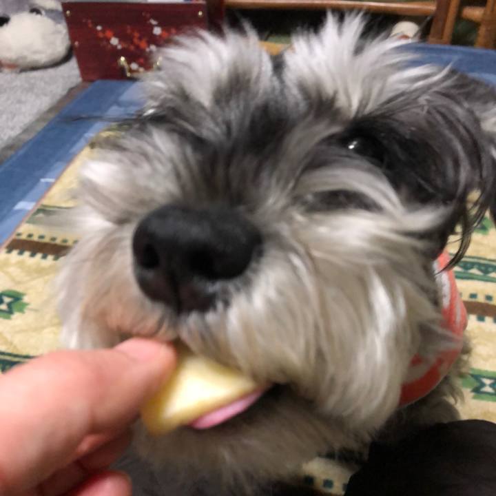 61f81d06 8944 4ee5 974b 0137ae39037c 1671712658915