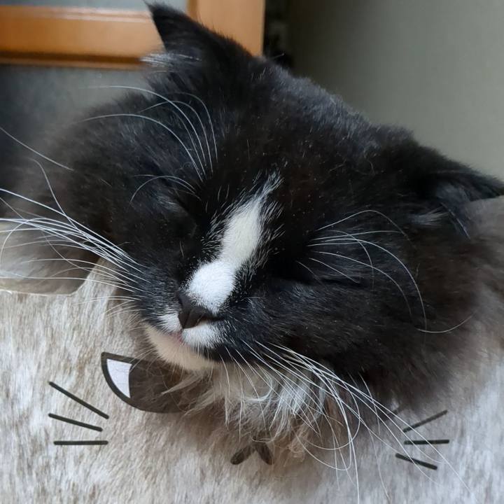 61f83416 00cc 48bb 8aaf 87c3f40abb26 1667820485771