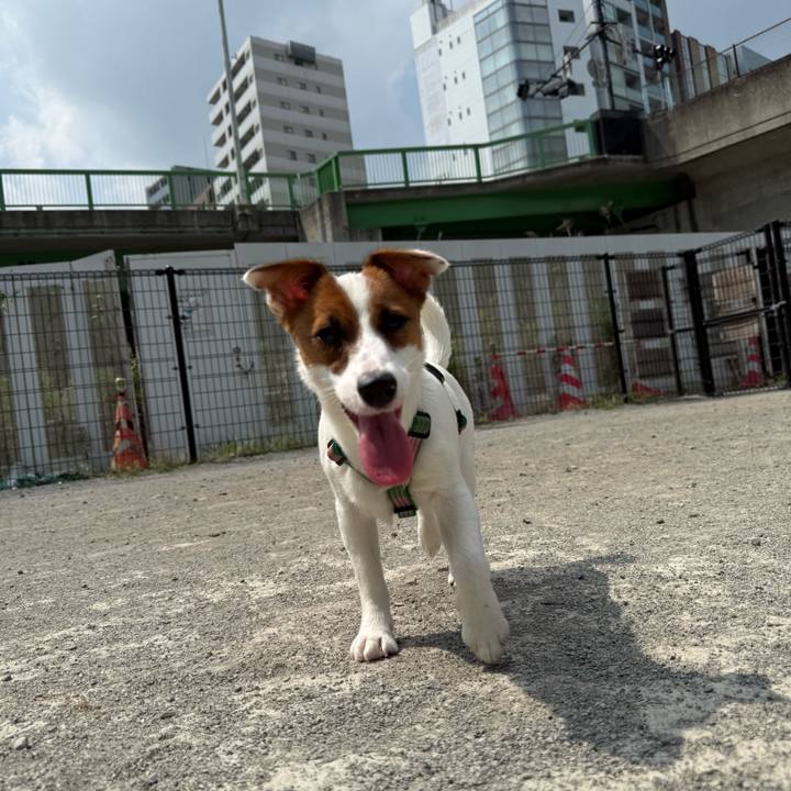 61f83612 9ebc 4038 b7c0 700affb45e3b 1751787681532