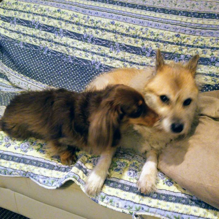 61f871fa 4cbe 4d8d a662 0a6700d0a11b 1511519761350