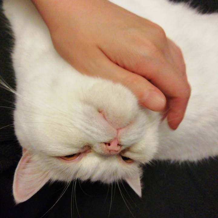 61f8a60f 6ed8 433e 9526 aa5bf9fbde0e 1605996138423