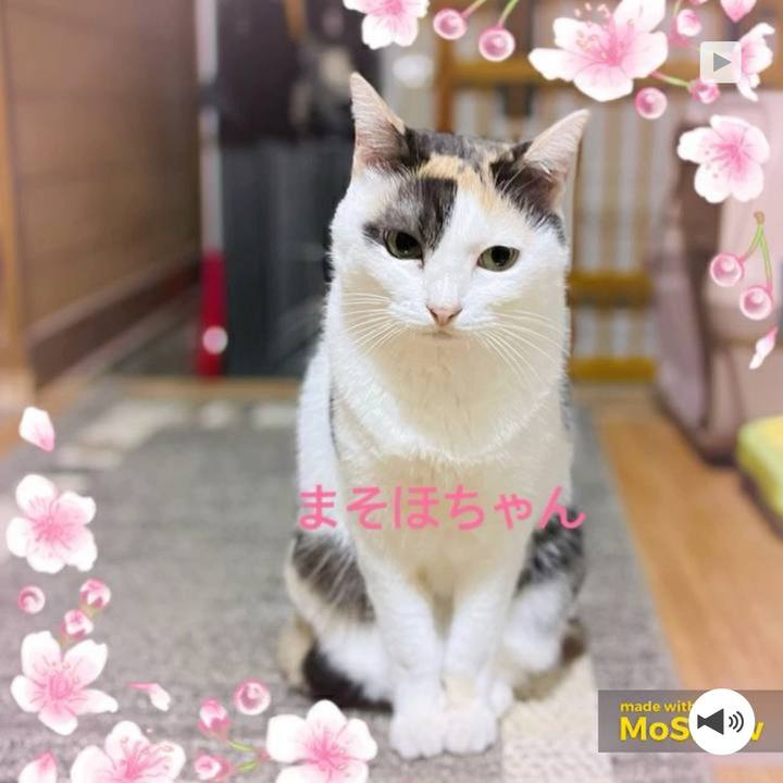 61f8b85e 3555 4593 a0af ca32ce6ca5cf 1642902716772