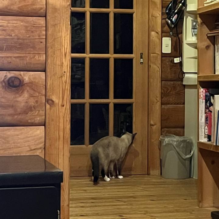 61f8ba61 e090 4a66 9eda 40d362cba9f0 1731154930914