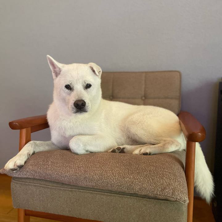 61f8fb34 2c00 4c49 a3b6 cf99f9079d24 1731809416853