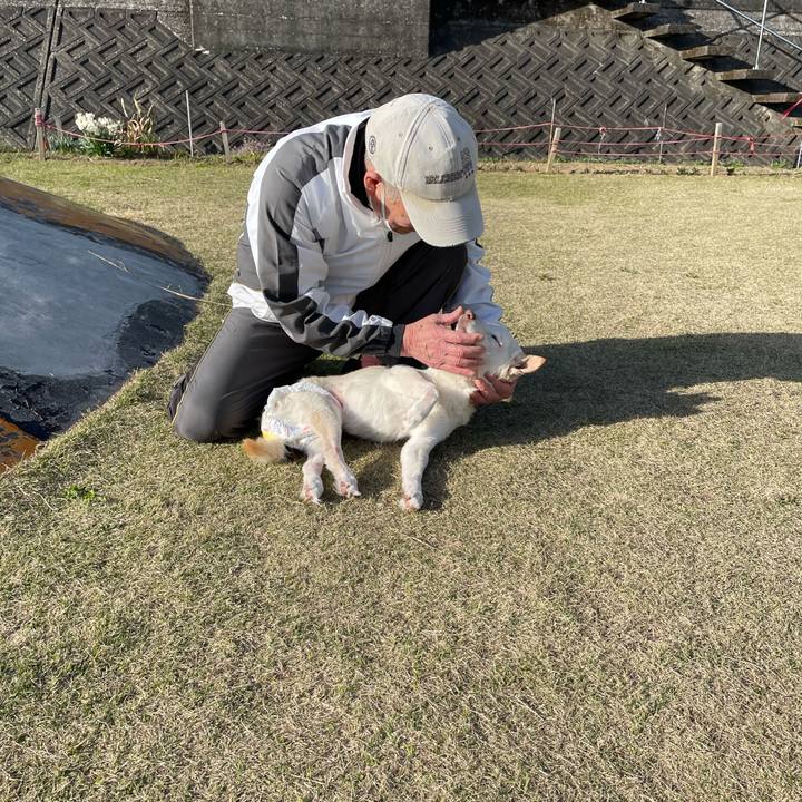 61f904d7 b575 4c32 a26f 884feee2b8e1 1678797608496