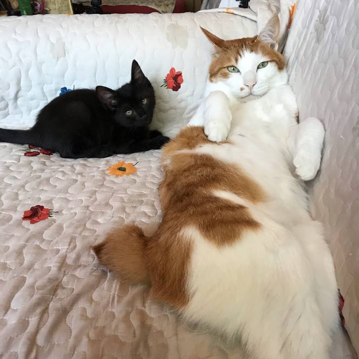 61f90d79 273b 4630 8664 b49b8a1aacf9 1562482697317