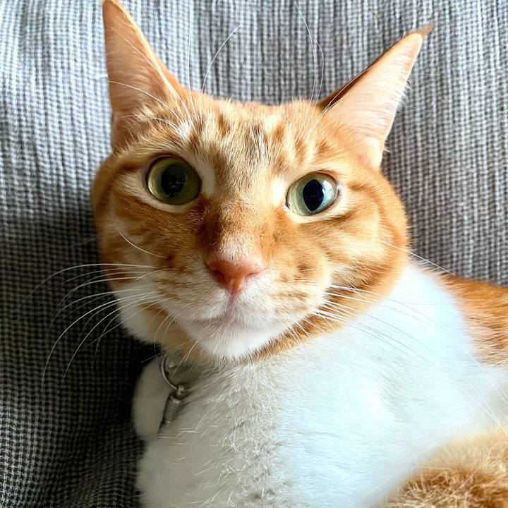 61f90fca 952e 4f2c b2a1 32ba9a4ac612 1647689373619