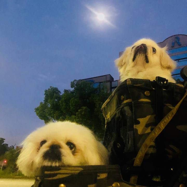 61f91a70 1d4b 426b a565 cc738ccc12f9 1599345324833