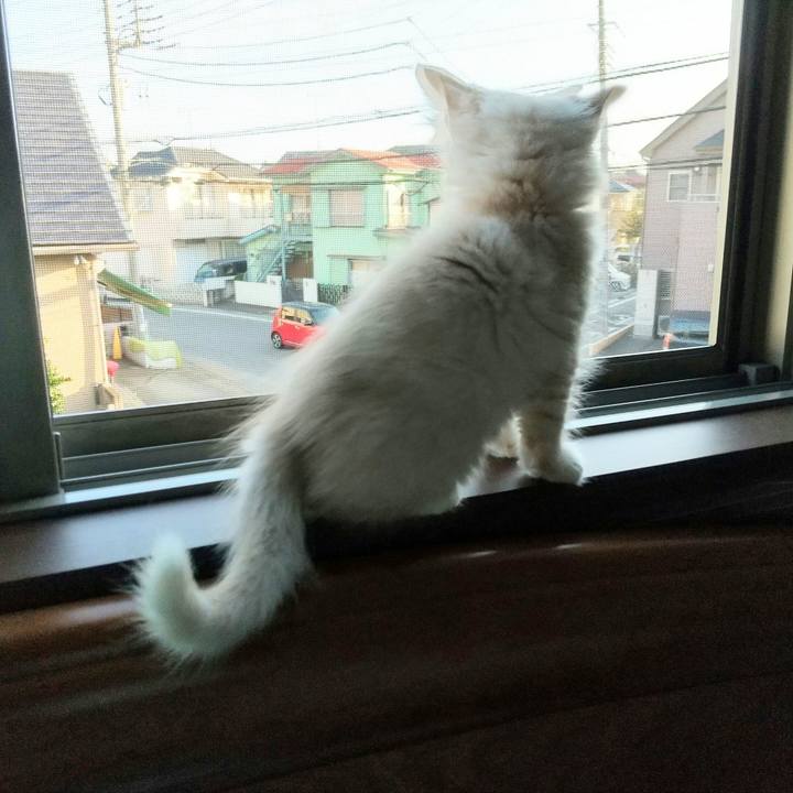 61f93f6d 88e7 471c 8117 eee95a26a3ef 1603232081472