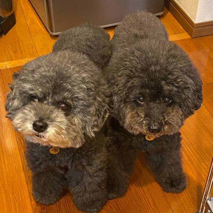 61f9e58e 5fe1 4581 bdd9 40b33953fbe4 1632911857521